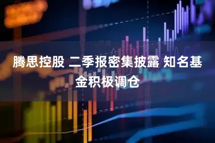 腾思控股 二季报密集披露 知名基金积极调仓